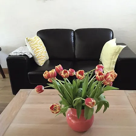Villa Vakantievilla Begijnhof 8