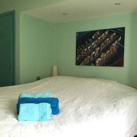 Villa Vakantievilla Begijnhof 8 *