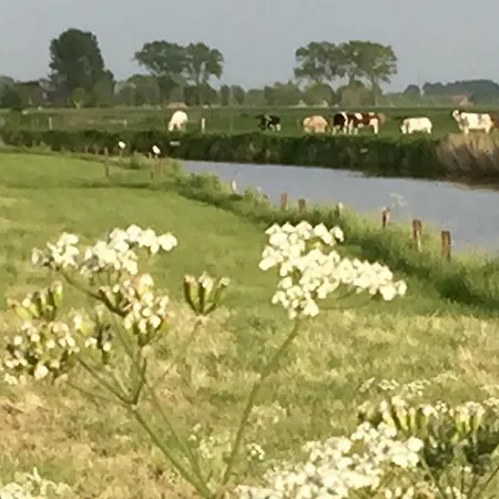 Vakantievilla Begijnhof 8