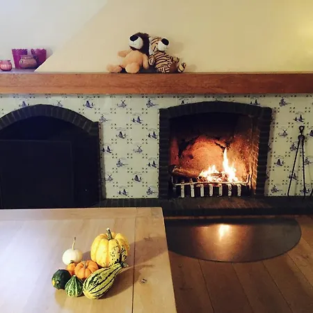 Vakantievilla Begijnhof 8 Villa *