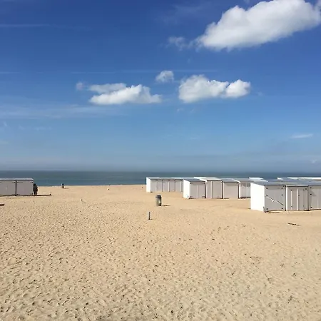 Vakantievilla Begijnhof 8 *